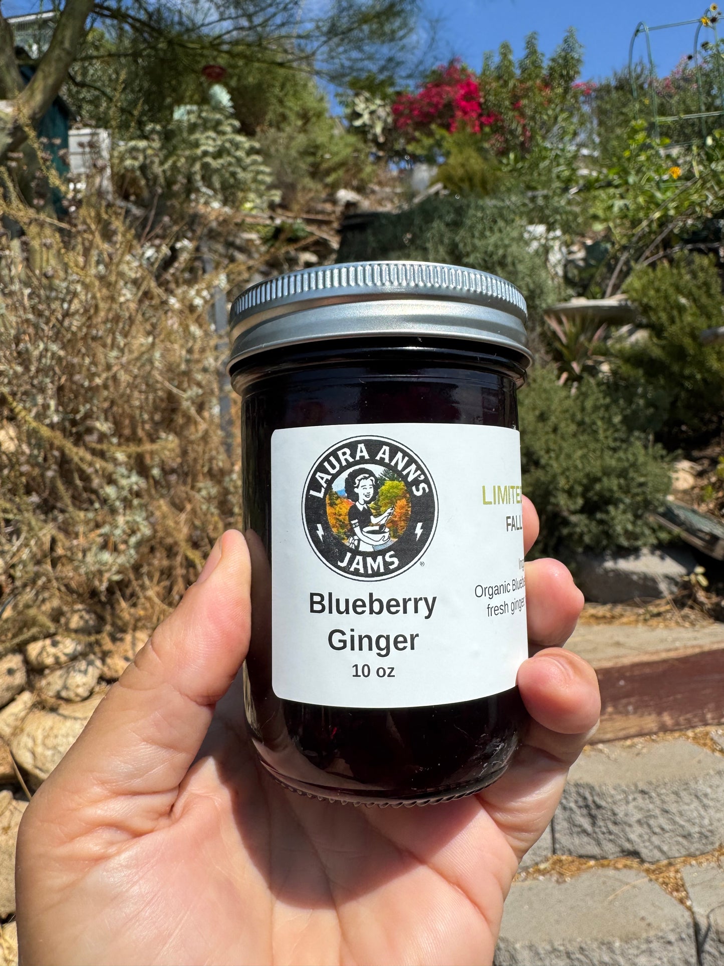 NEW: LIMITED EDITION Blueberry Ginger