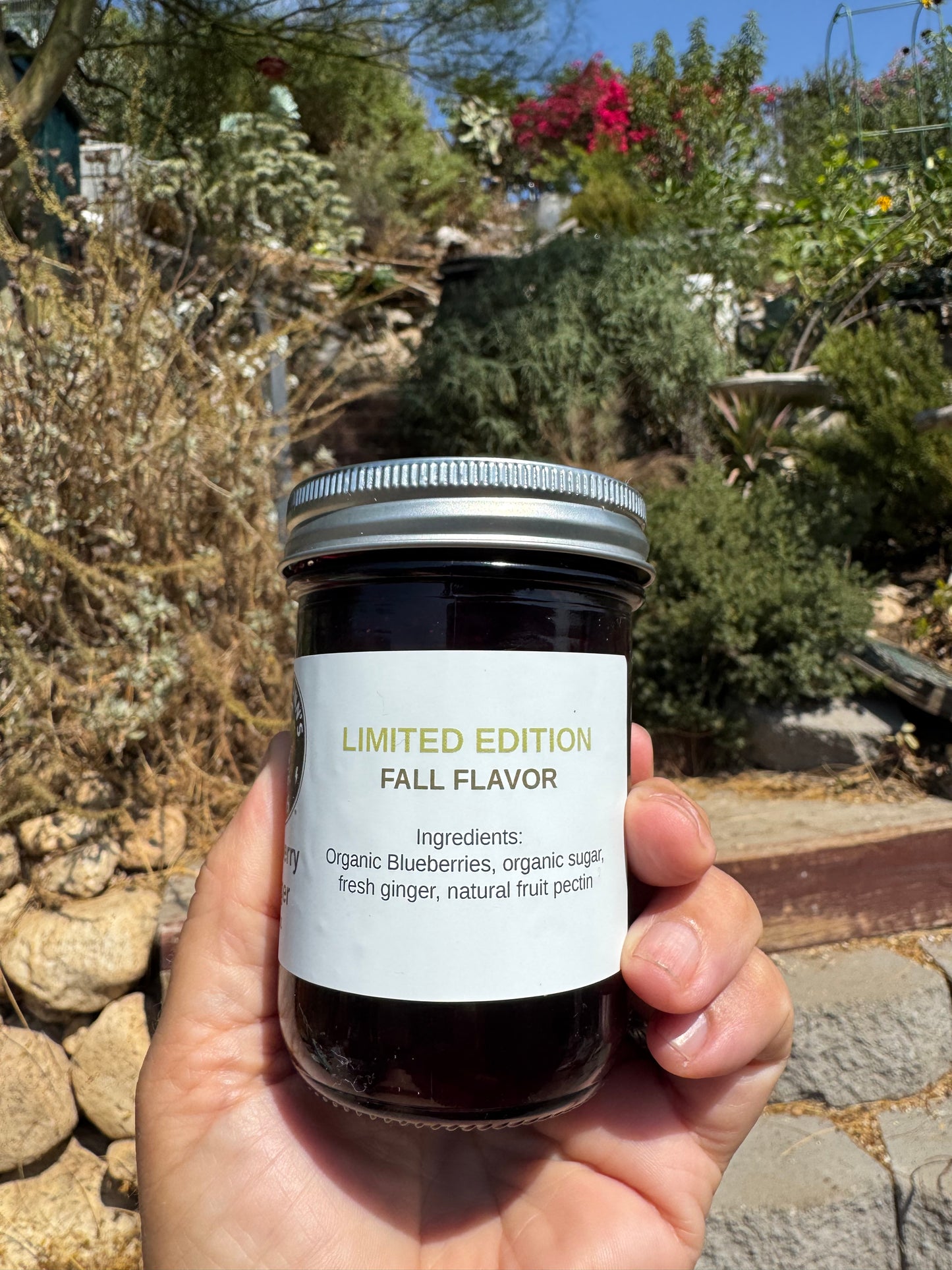 NEW: LIMITED EDITION Blueberry Ginger