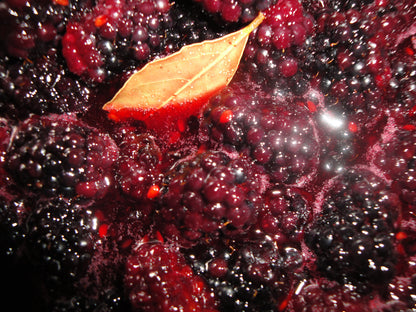 Blackberry Bay Leaf