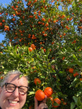 Old Fashioned Tangerine Marmalade